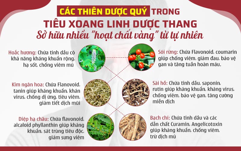 Tiêu Xoang Linh Dược Thang sử dụng nhiều thảo dược có giàu hoạt chất kháng sinh